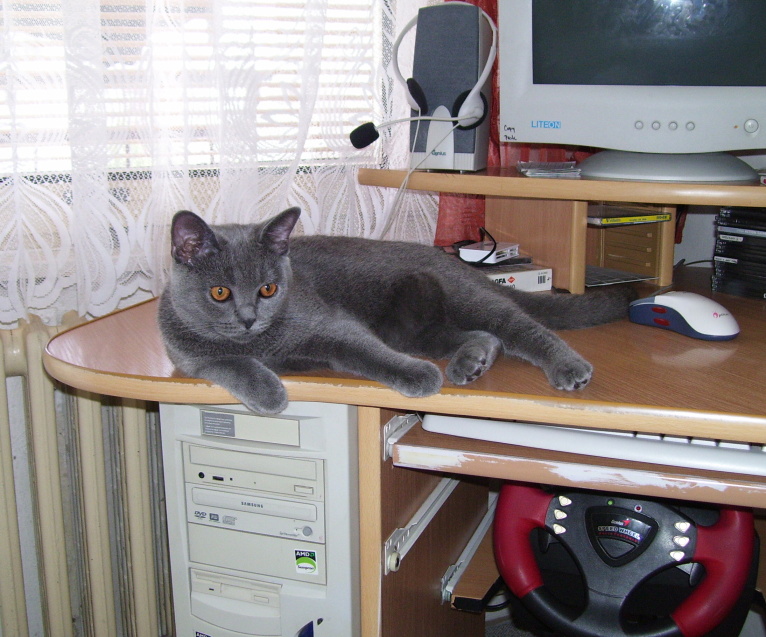 18.srpna 2007