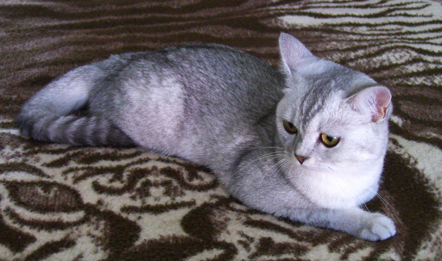 100_8140.jpg