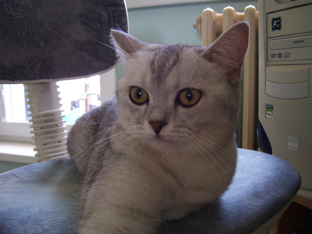 100_8145.jpg
