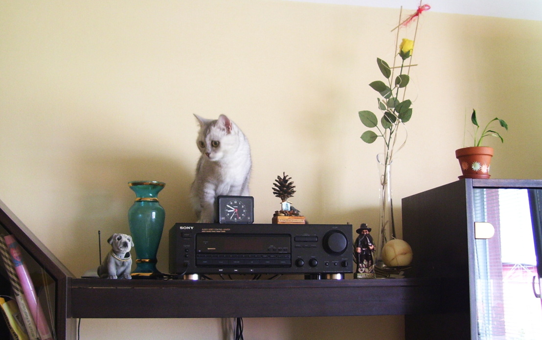101_0100.jpg