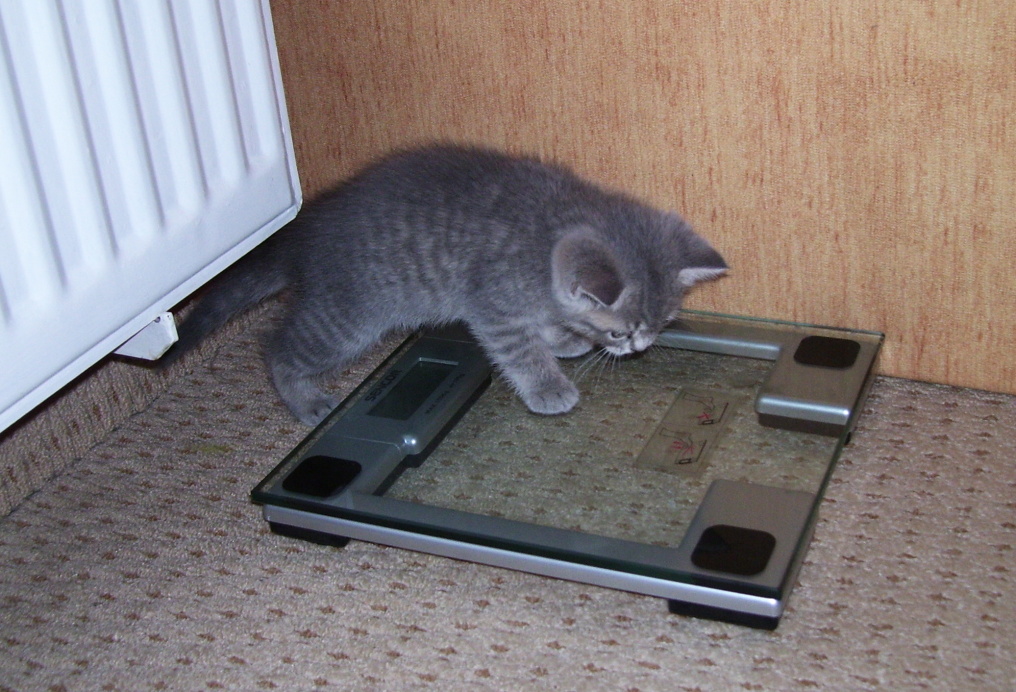 100_8455.jpg