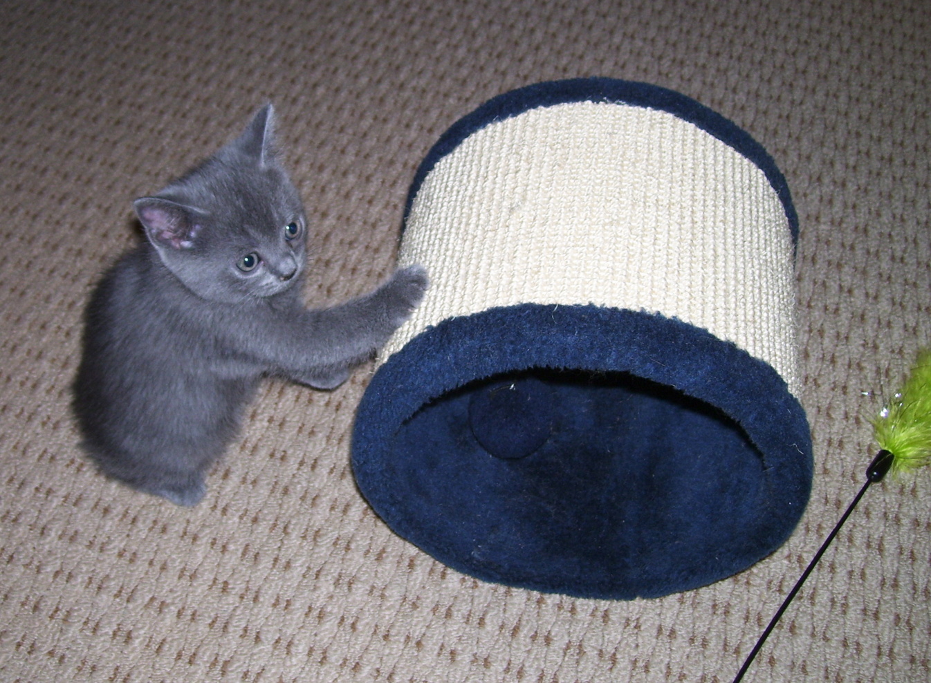 100_8461.jpg