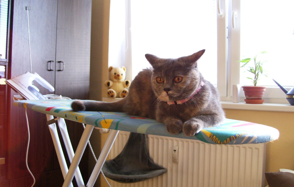 100_9430.jpg