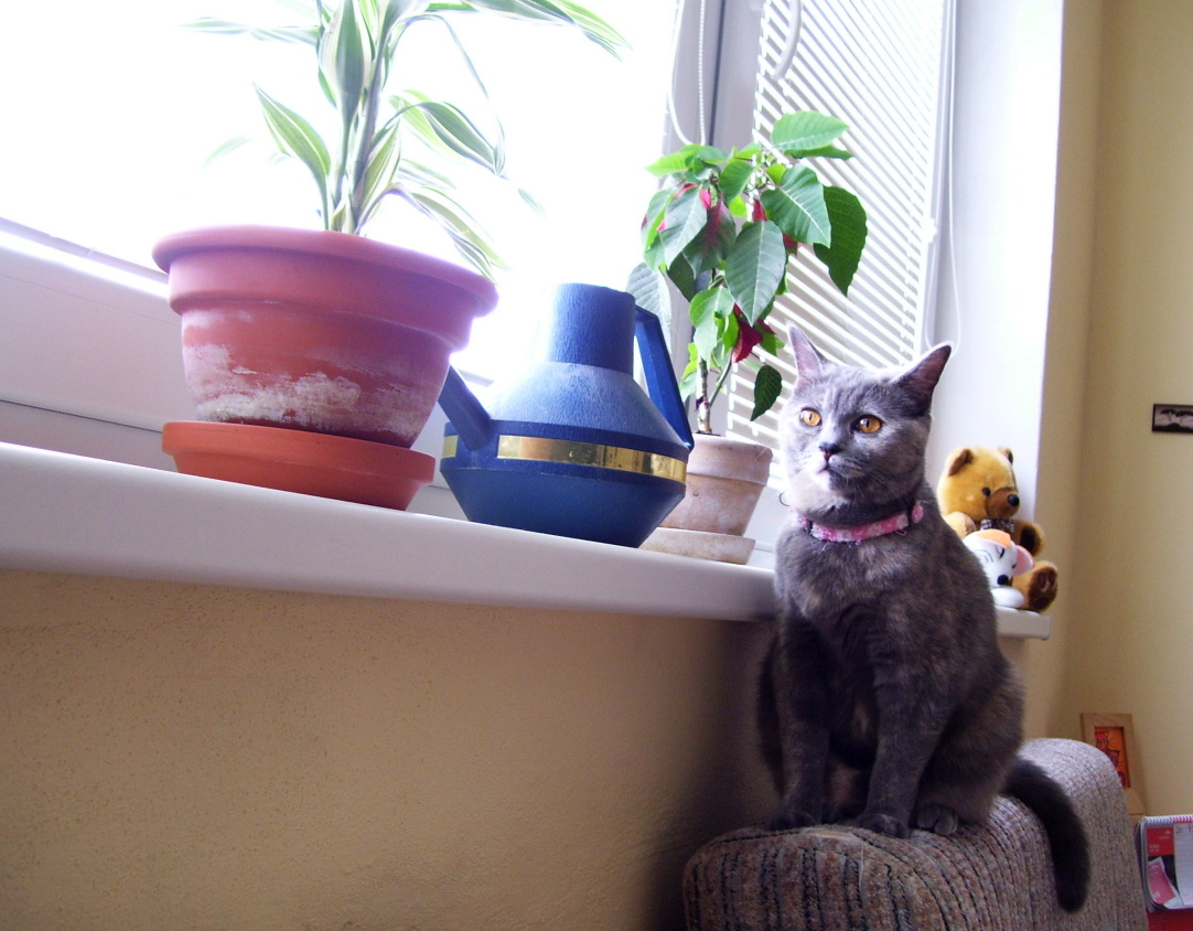 100_9451.jpg