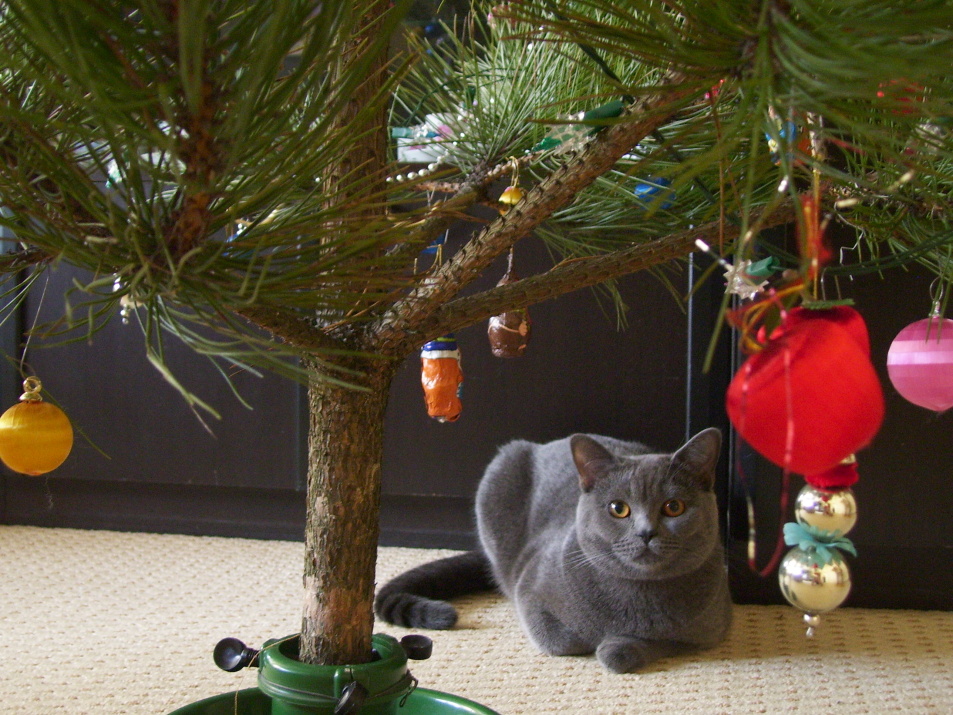 24.12.2007