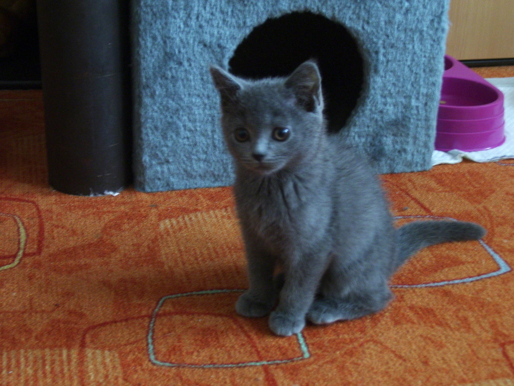 září 2010