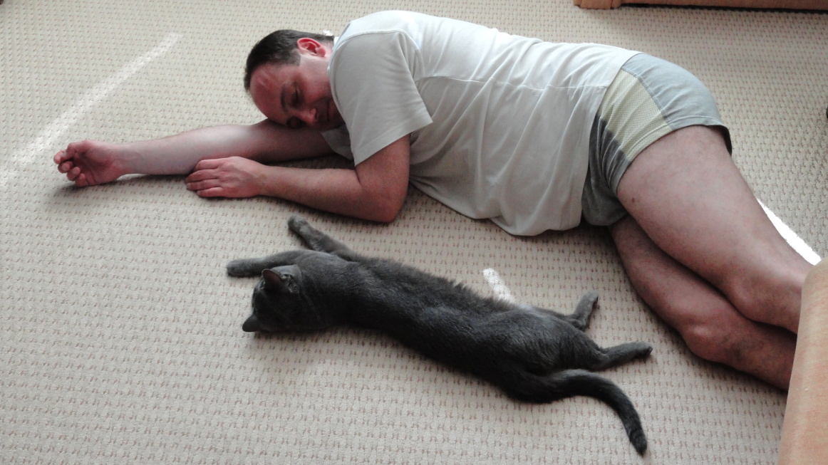 Siesta