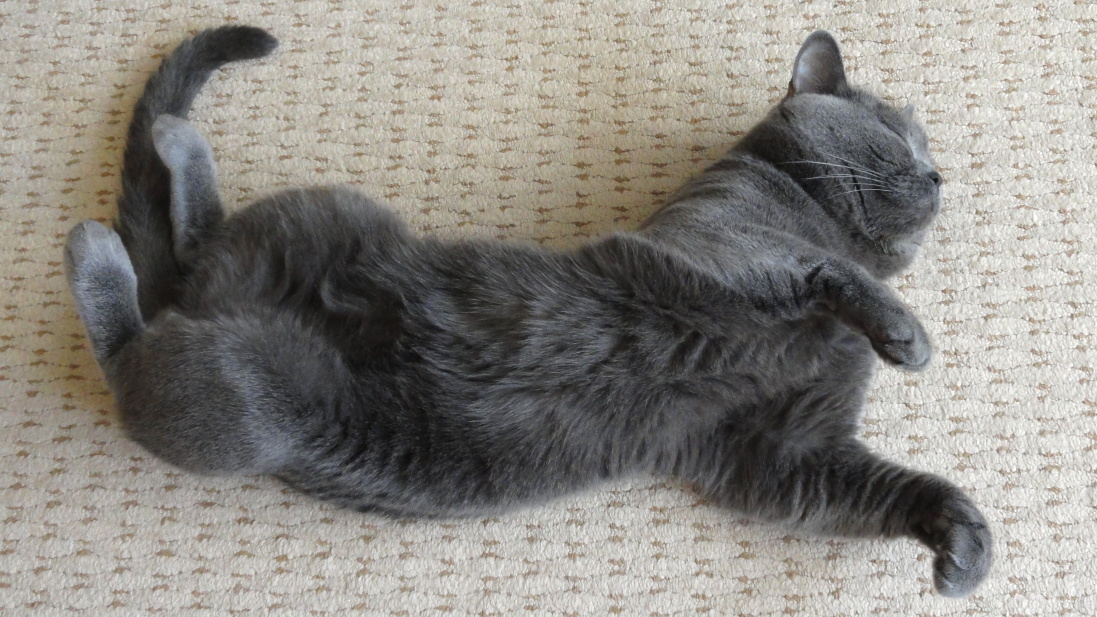 Siesta II.