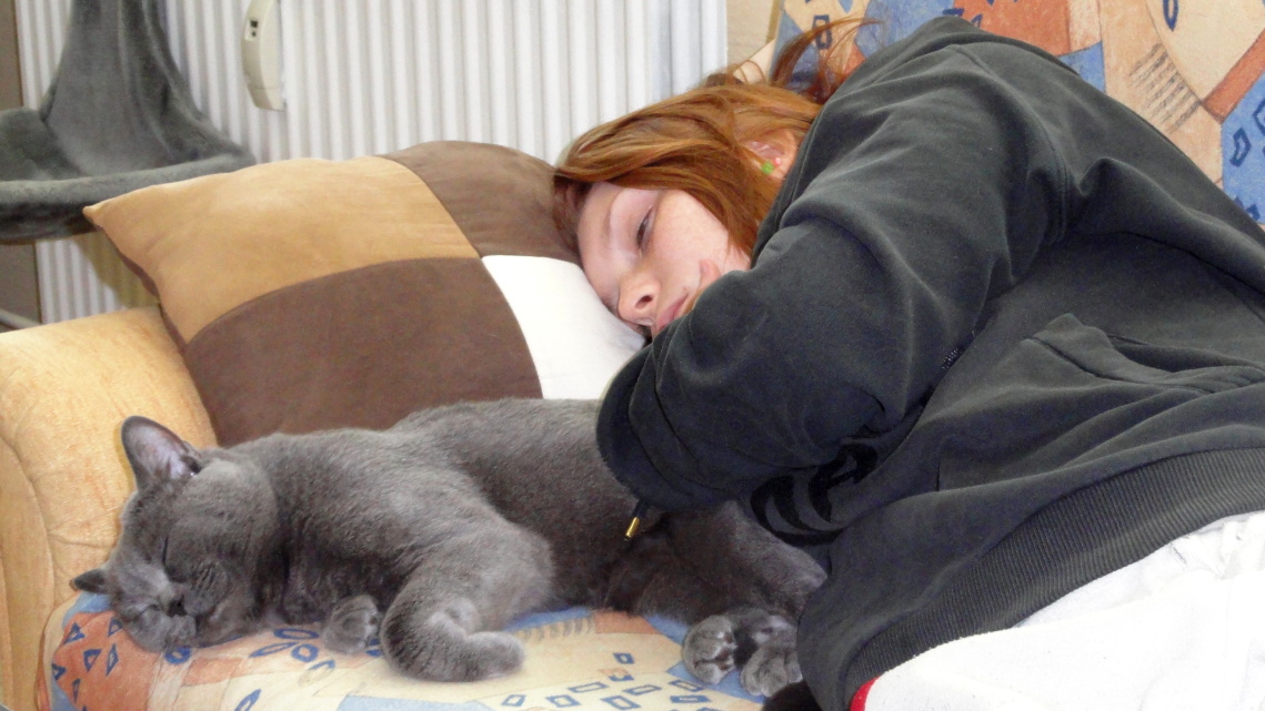 Siesta III.