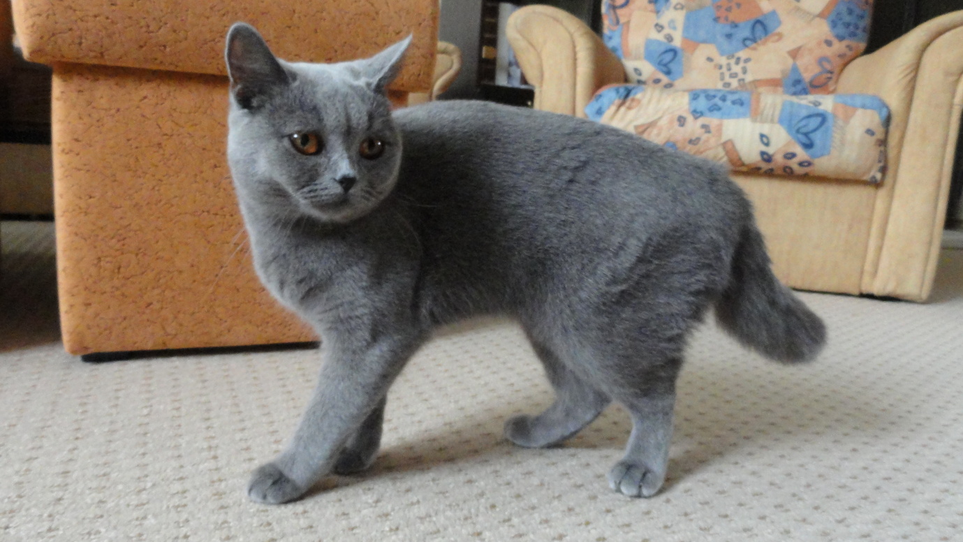 DSC09009