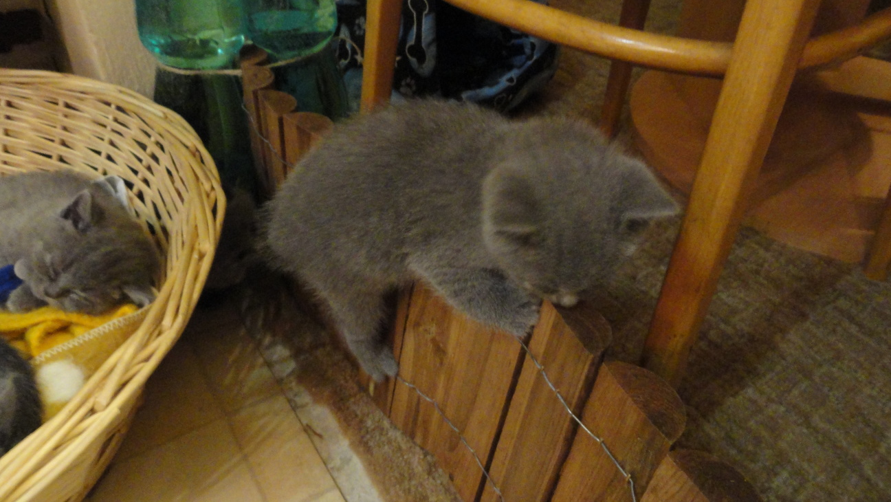 DSC09676