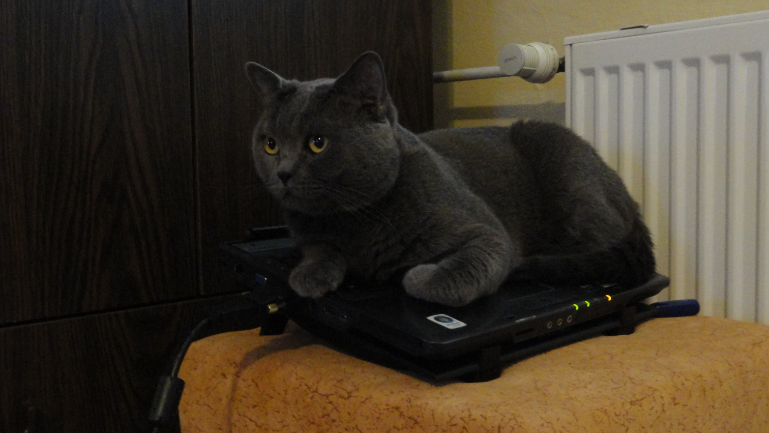 ...když notebook končil život....