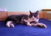 100_9006.jpg