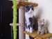 100_9020.jpg