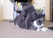 100_9531.jpg