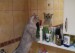 100_8165.jpg