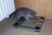 100_8455.jpg
