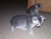 100_8459.jpg