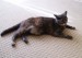 100_9410.jpg